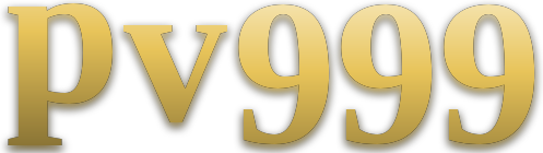pv999 logo